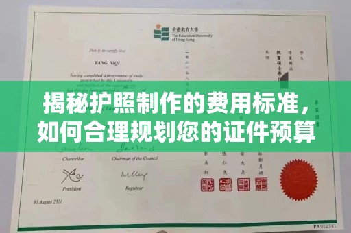 芦淞揭秘护照制作的费用标准，如何合理规划您的证件预算